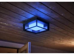 Philips Hue White & Color Ambiance Econic Outdoor Wandl. eckig Schwarz