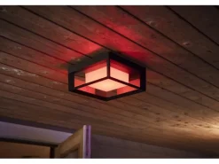 Philips Hue White & Color Ambiance Econic Outdoor Wandl. eckig Schwarz