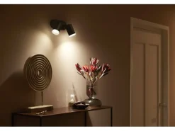 Philips Hue White & Color Ambiance Fugato 2er-Spot Schwarz
