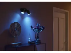 Philips Hue White & Color Ambiance Fugato 2er-Spot Schwarz