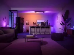 Philips Hue White & Color Ambiance Centris 4-Deckenspot Schwarz