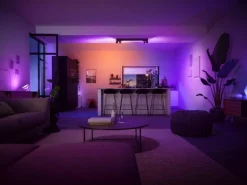 Philips Hue White & Color Ambiance Centris 4-Deckenspot Schwarz