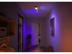 Philips Hue White & Color Ambiance Centris 2-Deckenspot Schwarz