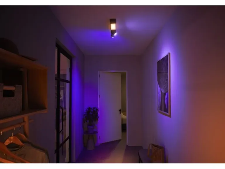 Philips Hue White & Color Ambiance Centris 2-Deckenspot Schwarz
