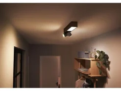 Philips Hue White & Color Ambiance Centris 2-Deckenspot Schwarz