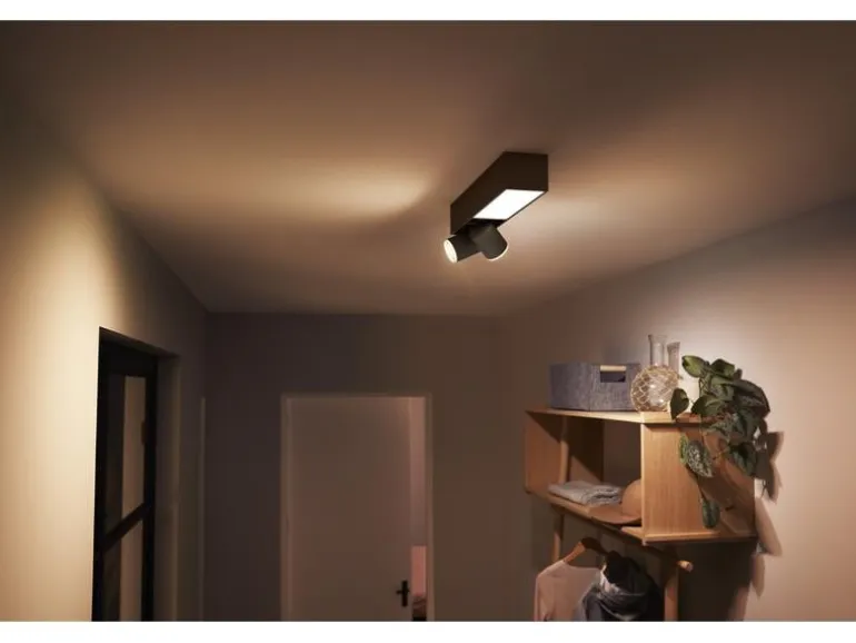 Philips Hue White & Color Ambiance Centris 2-Deckenspot Schwarz