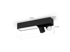 Philips Hue White & Color Ambiance Centris 2-Deckenspot Schwarz