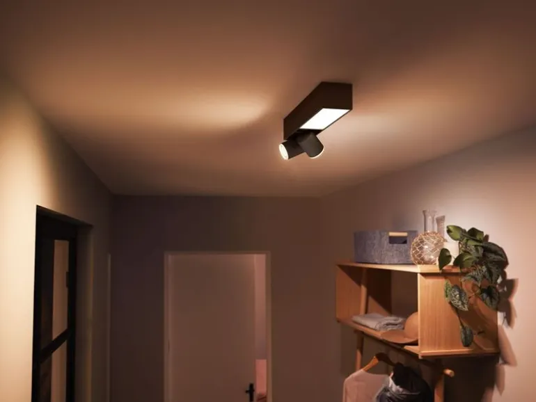Philips Hue White & Color Ambiance Centris 2-Deckenspot Schwarz