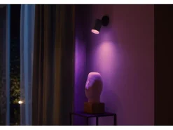 Philips Hue White & Color Ambiance Fugato 1er-Spot Schwarz