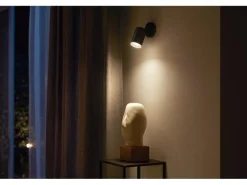 Philips Hue White & Color Ambiance Fugato 1er-Spot Schwarz