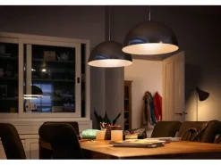 Philips Lampe LED 15W E14 T25 WW FR ND Warmweiss (WW)