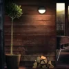 Philips myGarden LED Wandleuchte Capricorn, 600 lm, Anthrazit