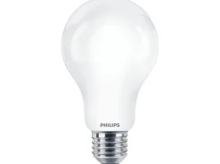 Philips Professional Lampe CorePro LEDBulb ND 150W E27 A67 840 FR G