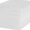 Rotho Aufbewahrungsbox Men Shoe Transparent, 3 tlg.