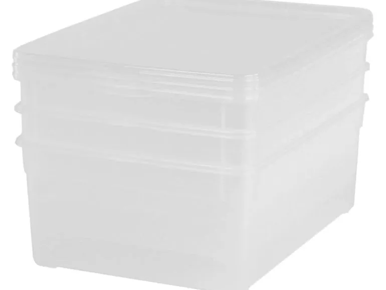 Rotho Aufbewahrungsbox Men Shoe Transparent, 3 tlg.