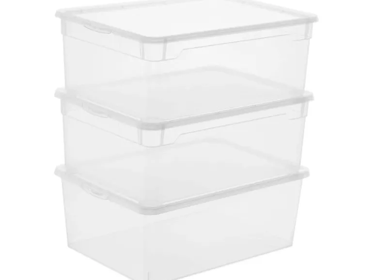Rotho Aufbewahrungsbox Men Shoe Transparent, 3 tlg.