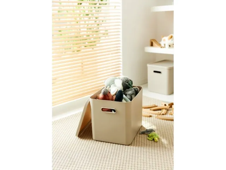 Rotho Babydesign Spielzeugbox KAYO L Cappuccino