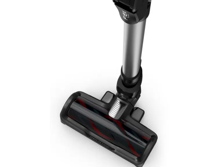 Rowenta Akku-Stielsauger X-Force Flex 14.60 Animal