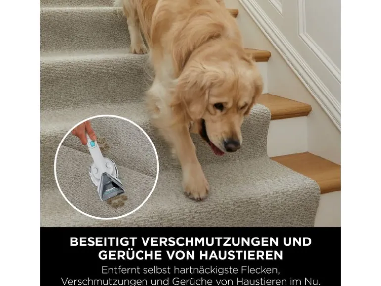 Shark StainStriker Flecken – und Polsterreiniger PX200EUT