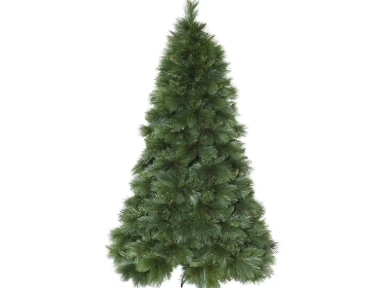 Star Trading Weihnachtsbaum Cembra, 2.4 m, Grün