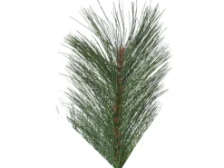 Star Trading Weihnachtsbaum Cembra, 2.4 m, Grün