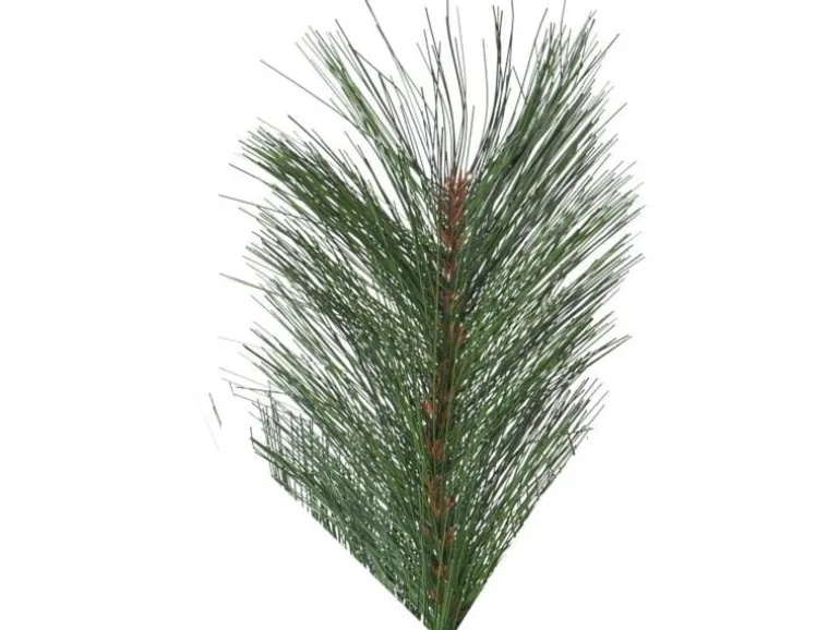 Star Trading Weihnachtsbaum Cembra, 2.4 m, Grün