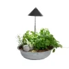 Venso Solutions Pflanzenleuchte SunLite 7 W, Grau