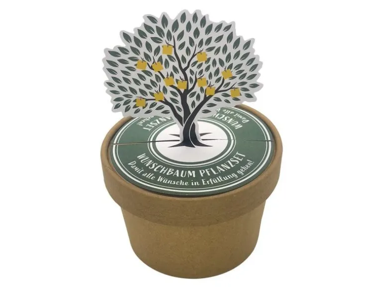 Wunderle Wunschbaum Pott 7 cm